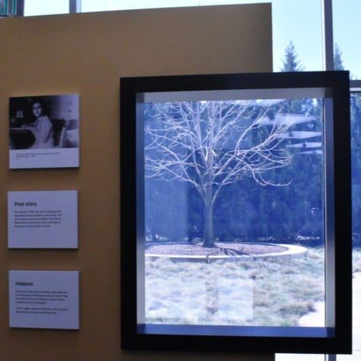Ferris State Featured Image Ferris State Featured Image