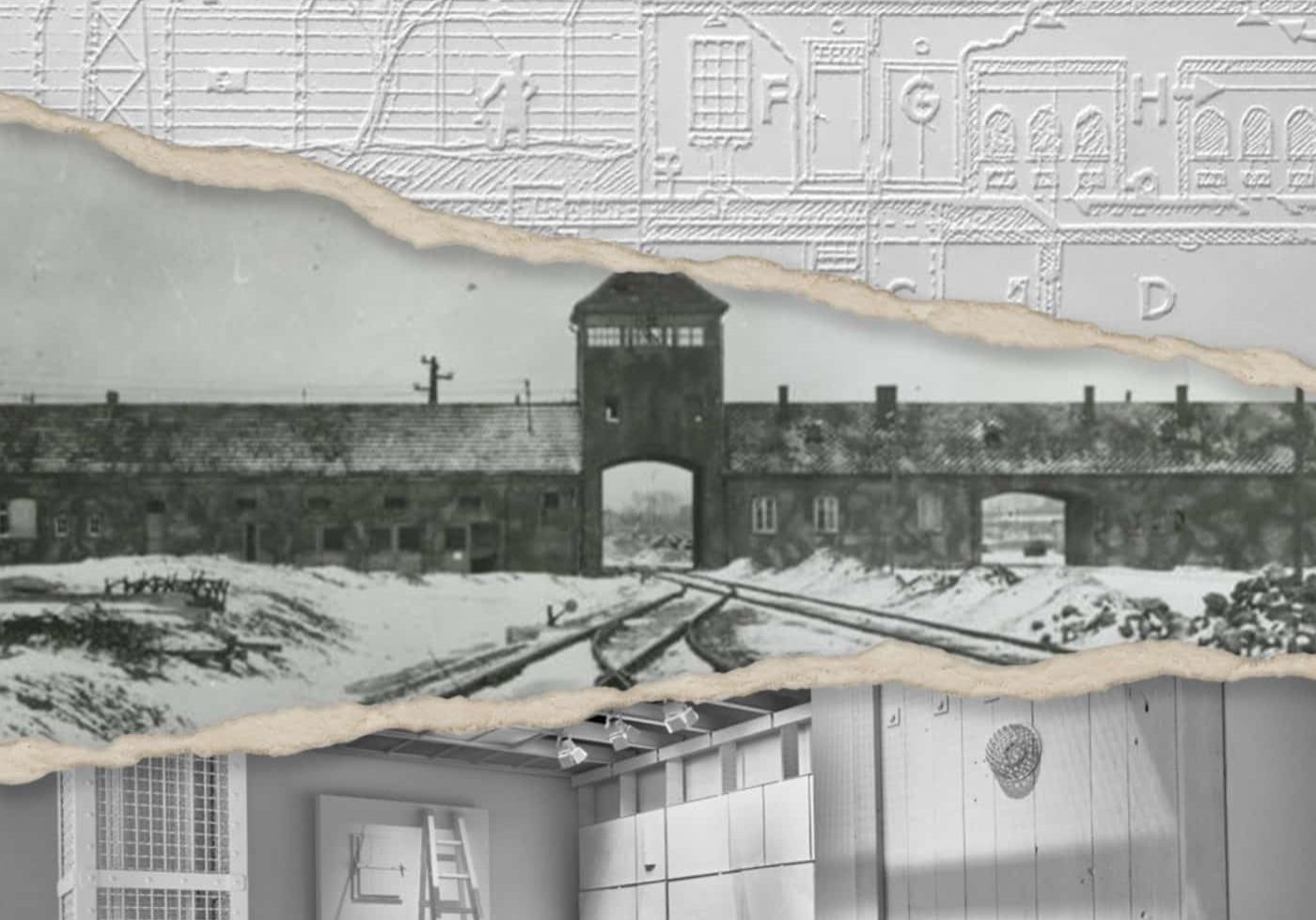 The Evidence Room Special Exhibit